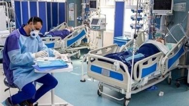 4303573 به گزارش خبرگزاری مهر، بنابر اعلام وزارت بهداشت از ۲۳ تا ۲۹ مهر، ۱۰۵۹ بیمار جدید مبتلا به کووید در کشور شناسایی شده است. در همین مدت، ۵۰ بیمار کووید جان خود را از دست داده اند.
