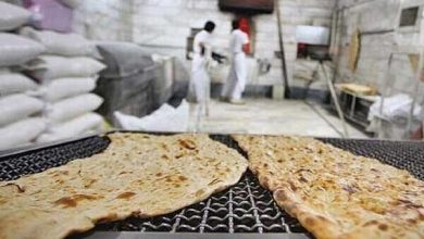 4320420 به گزارش خبرگزاری مهر، محمد اسماعیل مطلق گفت: به دنبال تصویب سند ملی امنیت غذا و تغذیه در شورای عالی سلامت و امنیت غذایی و سند ملی دانش بنیان امنیت غذایی در شورای عالی انقلاب فرهنگی، اقدامات مؤثری برای بهبود امنیت غذایی و تغذیه مردم کشور به مورد اجرا گذاشته شده است.