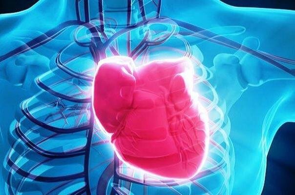 یائسگی سلامت قلب زنان را به خطر می اندازد 1 4419961 به گزارش خبرنگار مهر به نقل از هلث دی نیوز، یائسگی به طرق مختلف در کنار سن، استروژن، علائم و سایر تغییرات بدن بر این خطر نقش دارند.