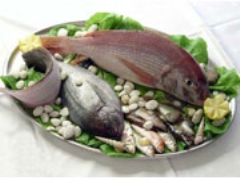 غذاهای دریایی منبع امگا: 1 a610b 3 موجودات ساکن آب های عمیق سرشار از اسید چرب امگا سه هستند.این نوع اسید چرب یکی از اصلی ترینعموامل تاثیرگذارروی حفظ سلامت سلول های مغز است.حجم عمده ای از سلول های خاکستری مغز راچربی تشکیل می دهد.کمبود این ترکیب باعث اسیب به سلول های مغز است بنابراین این نوع اسید چرب ضمن تامین نیازهای بدن به چربی سالم نیاز مغز به چربی مناسب را تامین می کند.در واقع چربی موجود در این خوراکی ها سلامت سلول های مغز را در برابر اسیب ها مقاومت میکند و مانع از ابتلا به پیری سلول های مغز میشود.