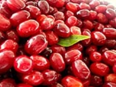 زغال اخته 1 a744b 3 <p>برای
درمان عفونت های دستگاه ادراری قرن ها است که از این گیاه استفاده می شود.آب زغال
اخته چسبندگی باکتری ها را به مخاط دستگاه ادراری به ویژه در زنانی که از بیماری
های عفونی مزمن رنج می برند کاهش می دهد.آدرس کلینیک لاغری ما : تهران - میدان پونک - بلوار همیلا - خیابان پارک - میدان پارک - ساختمان پزشکان پاسارگاد - طبقه 3 واحد 5 تلفن : 02144495410 همراه : 09199090683برای مشاهده ی آخرین پیشنهادات ویژه و تخفیف های فوق العاده به وب سایت جدید ما به آدرس زیر مراجعه کرده و در کلوپ مشتریان ثبت نام کنید www.ideal-clinic.irبرای مشاهده ی آخرین پیشنهادات ویژه و تخفیف های فوق العاده به وب سایت جدید ما به آدرس زیر مراجعه کرده و در کلوپ مشتریان ثبت نام کنیدwww.ideal-clinic.ir</p>