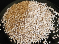 a792b 3 <p>کنجد
یکی از داروهای طبیعی برای جلوگیری از ابتلا به بیماری آرتریت روماتوئید است که می
تواند دردهای روماتیسمی را کاهش دهد.منیزیم موجود در دانه و روغن کنجد به پیشگیری
از ابتلا یا تشدید ناراحتی های قلبی،آسم،کاهش فشار خون ، کاهش فشار خون،کاهش خطر
ابتلا به سکته قلبی و مغزی،جلوگیری از حمله های میگرن کمک می کند.آدرس:پونک-بلوار همیلا-خیابان پارک-میدان پارک-ساختمان پزشکان پاسارگاد-طبقه 3-واحد 5.همراه:09199090683            تلفن:02144495410برای مشاهده ی آخرین پیشنهادات ویژه و تخفیف های فوق العاده به وب سایت جدید ما به آدرس زیر مراجعه کرده و در کلوپ مشتریان ثبت نام کنید            www.ideal-clinic.irبرای مشاهده ی آخرین پیشنهادات ویژه و تخفیف های فوق العاده به وب سایت جدید ما به آدرس زیر مراجعه کرده و در کلوپ مشتریان ثبت نام کنیدwww.ideal-clinic.ir</p>