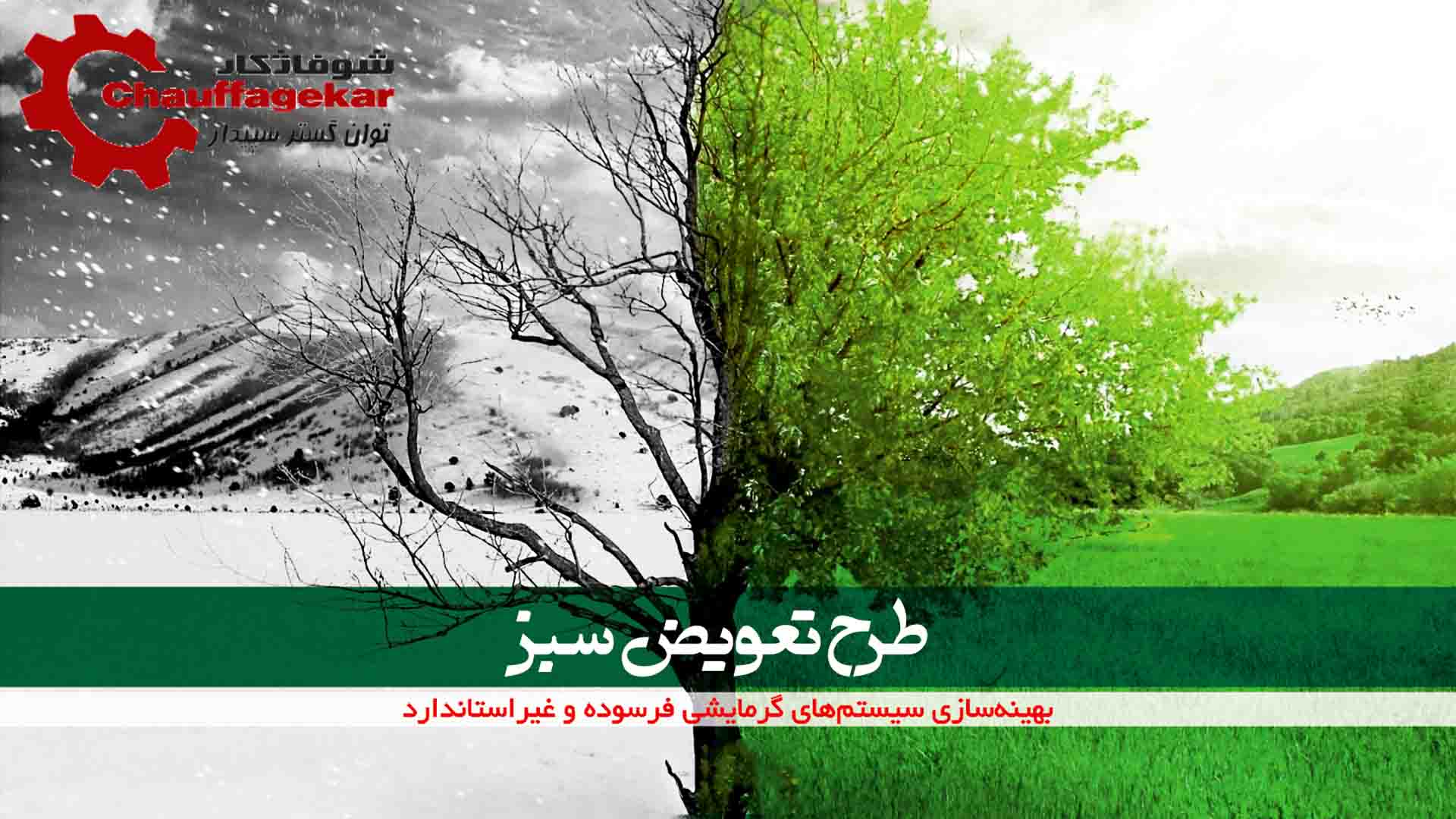A tree with green leaves AI-generated content may be incorrect.